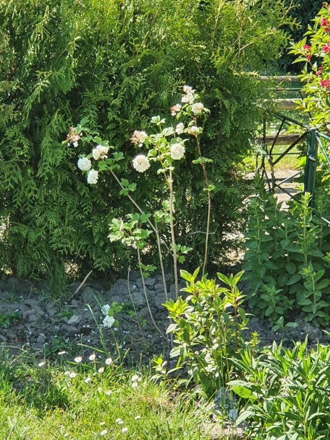 Rekerlanden 177 Vakantiewoning Nabij Strand Warmenhuizen Dış mekan fotoğraf